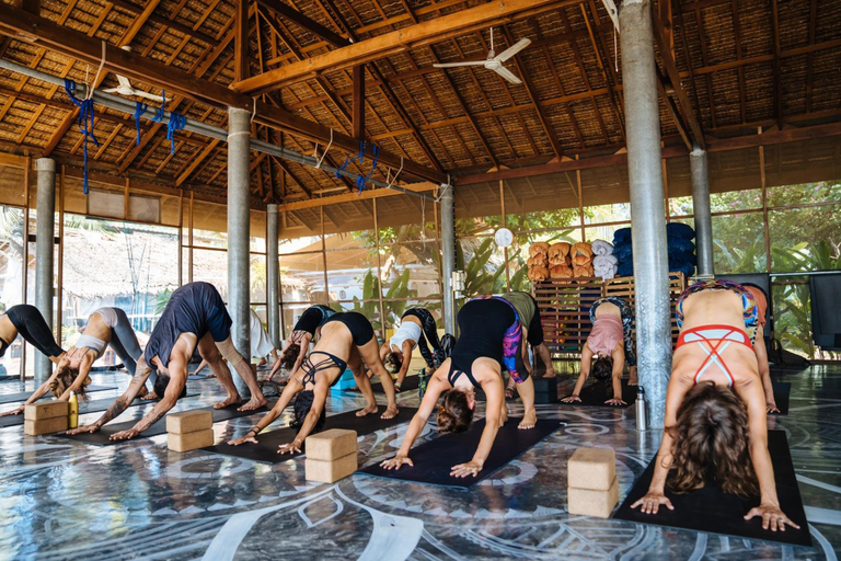 Food & Drinks 5, Orion Healing Centre, Ko Phangan