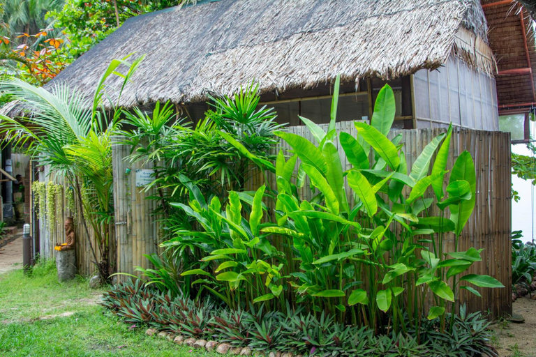 Exterior & Views 2, Orion Healing Centre, Ko Phangan