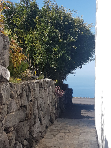 Others 4, Casa las Viñas, Santa Cruz de Tenerife