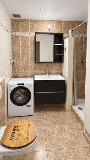 Bathroom 5, Appartement Lyon - Villeurbanne, Rhône