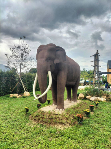 Miscellaneous 5, Luang Lume Pool, Chiang Dao