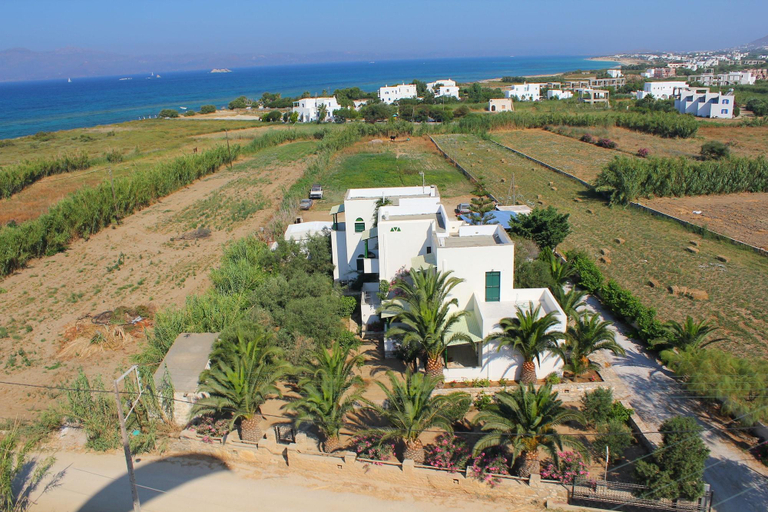 General view