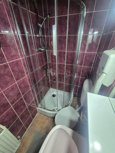 Bathroom 3, Pensiunea Don Sergio, Predeal