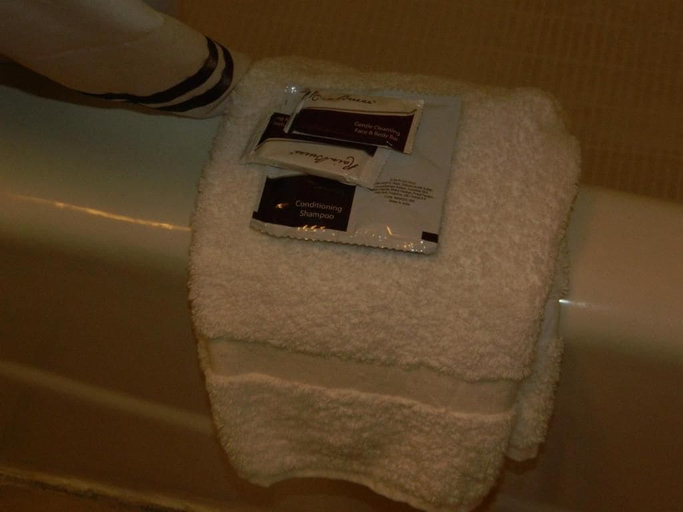 Bathroom amenities, Freer motel, Duval