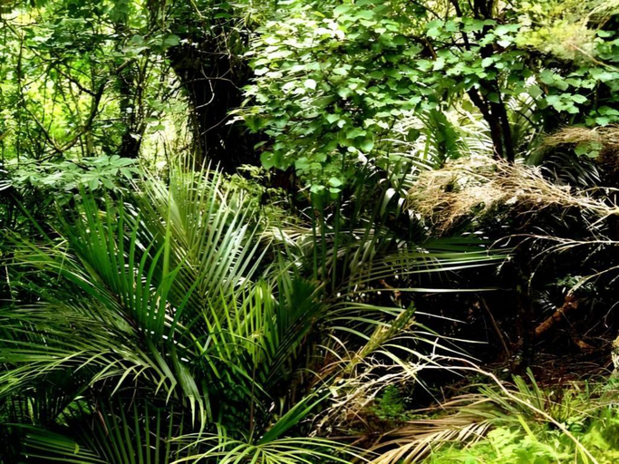 Others 5, Hillside Hotel and Nature Resort, Waikato