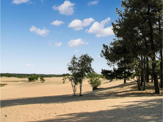 Others 4, Lodge in Duinhoeve near Dunes & Playground, Tilburg