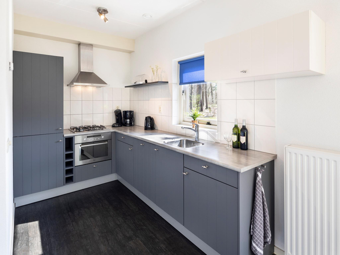 Others 5, Villa w/ Solarium nr Hoogeveen, De Wolden
