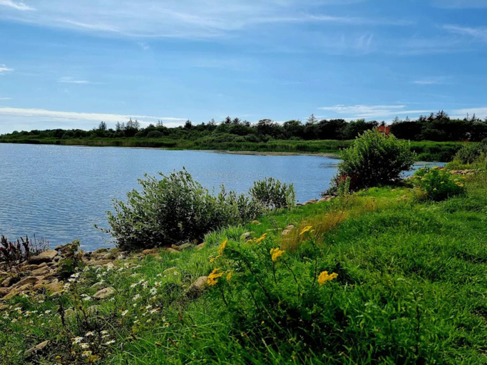 Others 5, Secluded Holiday Home in Henne near Beach, Varde