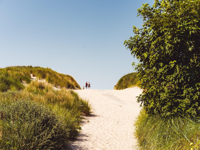 Surrounding environment 5, Nice chalet in Hollum near dunes, Ameland