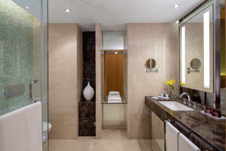 Bathroom 5, Radisson Blu Hotel Guwahati, Kamrup Metropolitan