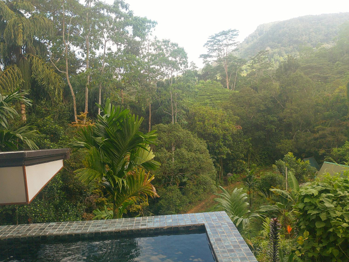 Sport & Beauty 4, Rainforest cabin, Kotapola