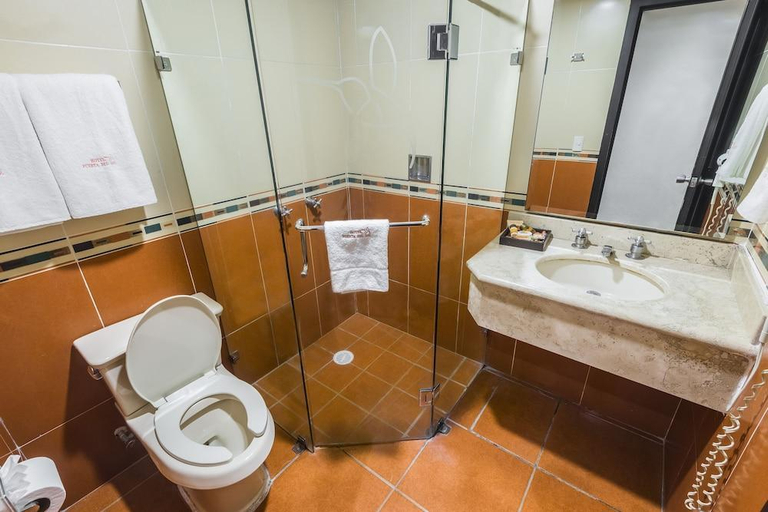 Bathroom 4, Hotel Puerta Del Sol Guadalajara, Zapopan