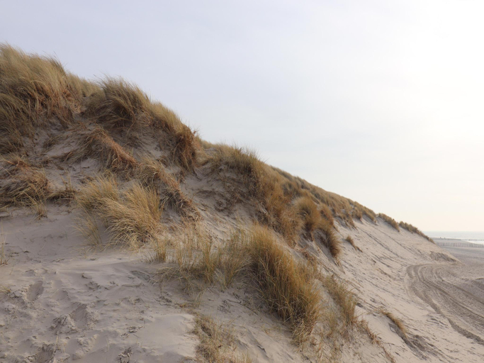 Surrounding environment