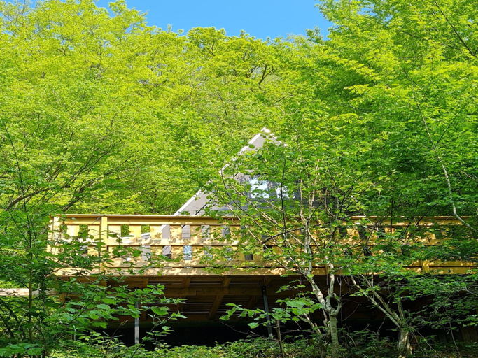 Surrounding environment