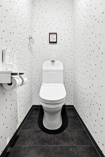 Bathroom 4, BRIC, Asahikawa