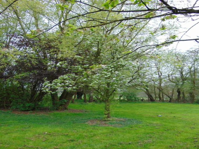 Garden, Cozy Coco Sweet Glamping Tent for 4, Antwerpen