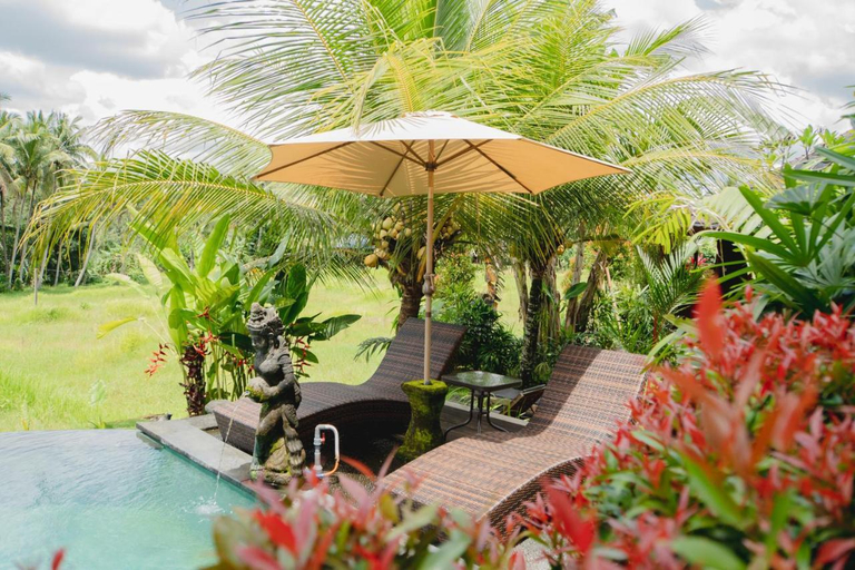 Sport & Beauty 2, Mancur Guesthouse, Gianyar