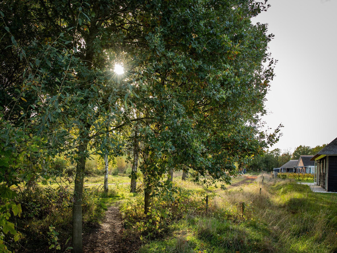 Surrounding environment 5, Villa in Someren near Somerense Heide, Someren