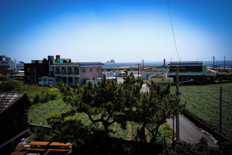 Others 5, ttottot Jeju Backpackers, Seogwipo