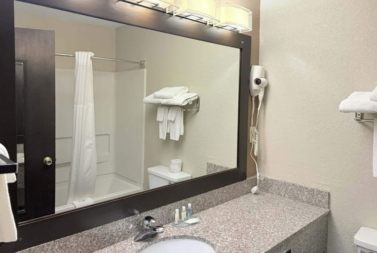 Bathroom 5, AmericInn by Wyndham Holland MI, Ottawa