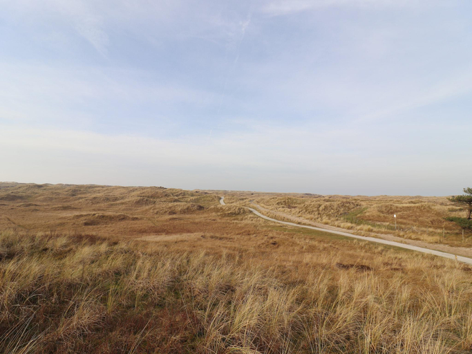 Surrounding environment 4, Chalet near golf course and sea beach, Ameland