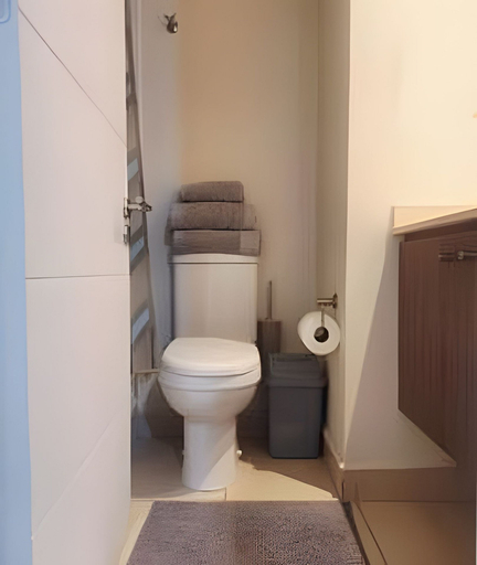 Bathroom 4, Residencia Bolados Conde de Maule, Santiago