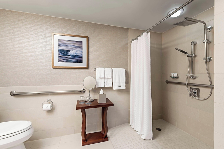 Bathroom 4, The Westin Toronto Airport, Toronto