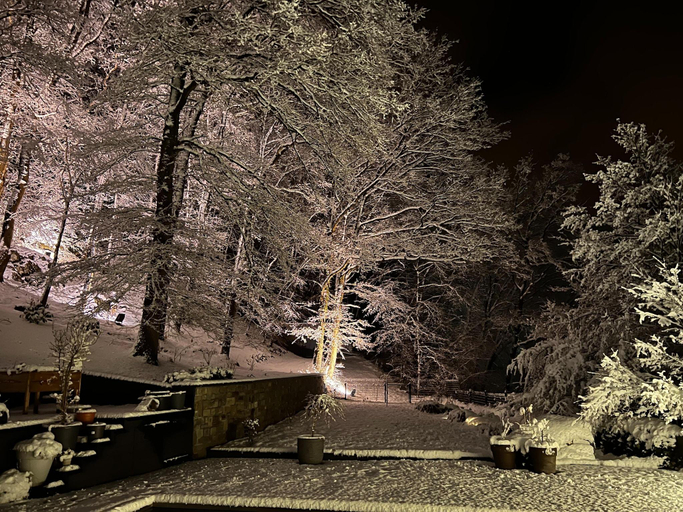 Exterior view 5, The Sweet Escape – Premium villa with pool, Liège
