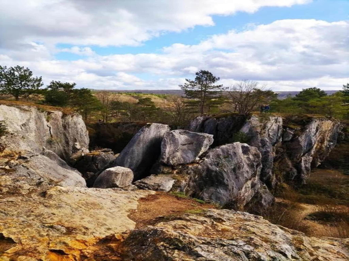 Surrounding environment