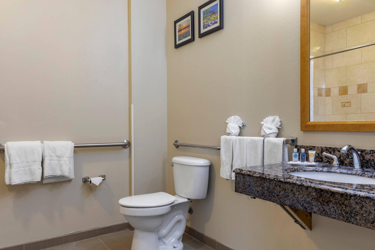 Bathroom 4, Comfort Suites Plano - Dallas North, Collin