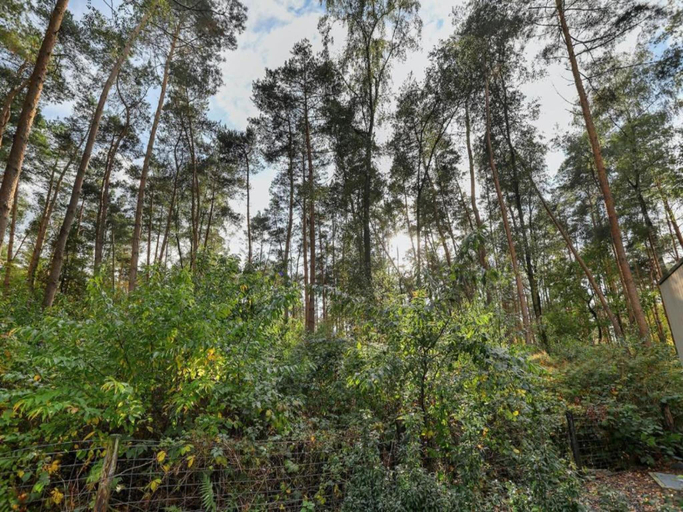 Surrounding environment 3, Relaxing Forest Hideaway, Hof van Twente