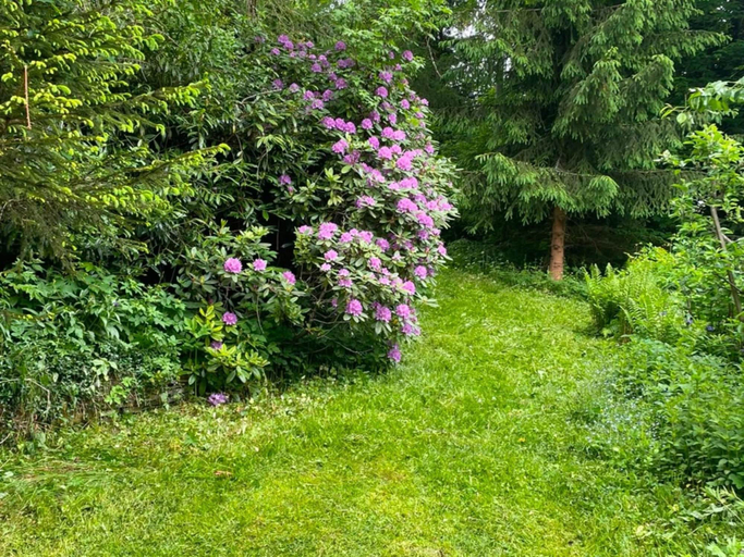 Garden 3, Charming Apartment With Mountain Views in Nordenau for 6, Hochsauerlandkreis