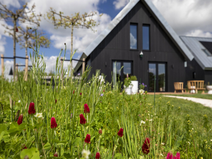 Others 3, Beautiful villa with spacious garden, Skarsterlân