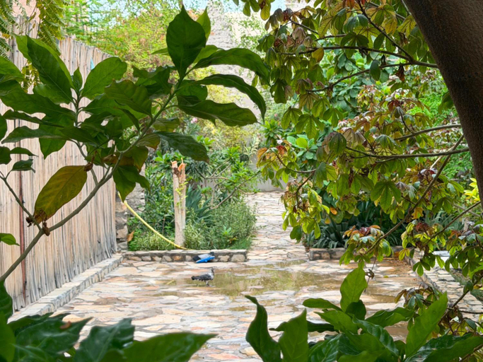 Sport & Beauty 5, AL- aqyr Rest Garden أستراحة حارة العقر, Nizwa