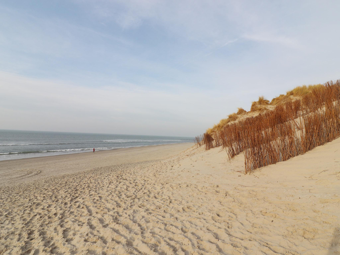 Surrounding environment 3, Chalet near sea beach in Hollum, Ameland