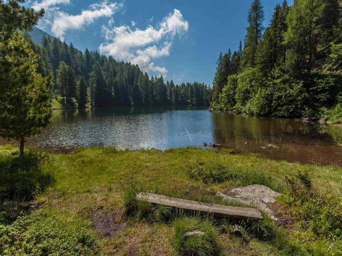 Surrounding environment 4, Chalet in Turracherhöhe with Sauna & Ski Access, Murau