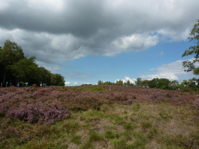 Surrounding environment