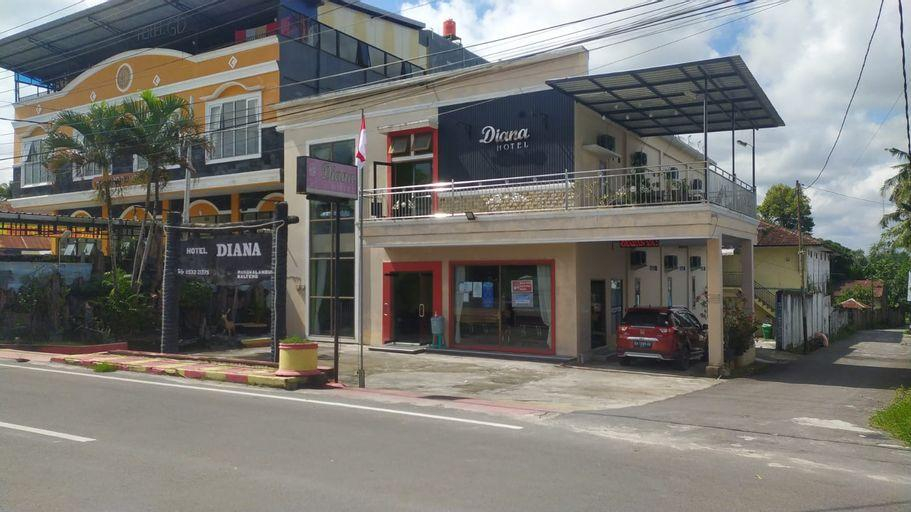 Exterior & Views 5, Hotel Diana, West Kotawaringin