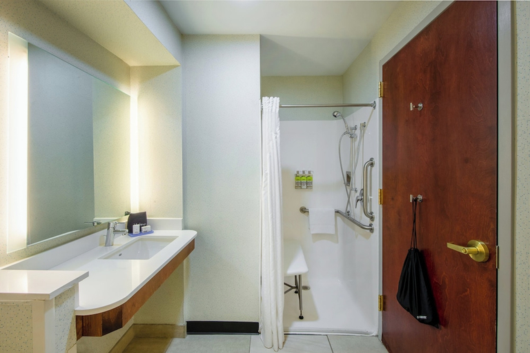 Bathroom 5, Holiday Inn Express & Suites NORTH EAST (ERIE I-90 EXIT 41), Erie