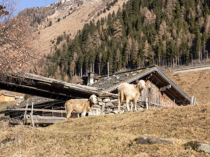 Surrounding environment 4, historic Chalet Raneburg, Lienz