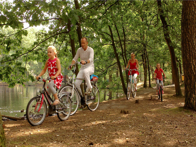 Facilities 2, Chalet near Eindhoven with Private Sauna, Mierlo