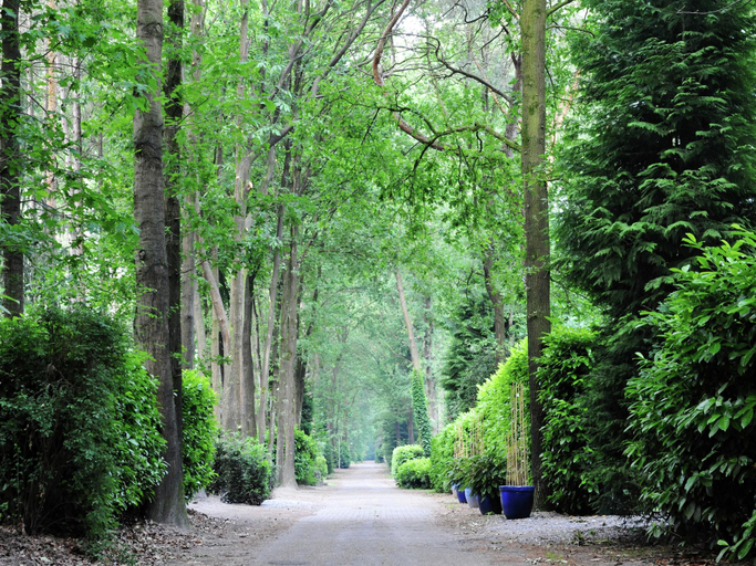 Others 4, Chalet in Parc de Kievit with Large Garden, Baarle-Nassau