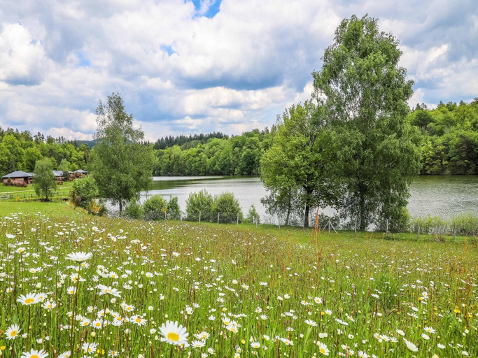Surrounding environment 4, 6-Person Accessible Wooden Chalet, Corrèze
