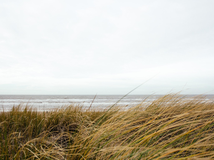 Others 5, Villa in Texel near De Koog Beach, Texel