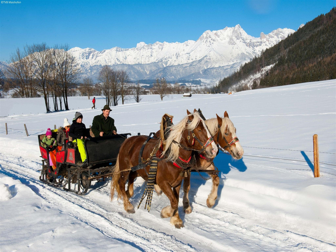 Others 4, Chalet in Maishofen near Ski Slopes, Zell am See