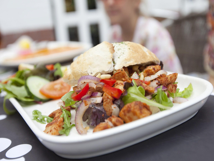 Food & Drinks 5, Villa in Klein Vink with Private Garden, Arcen en Velden