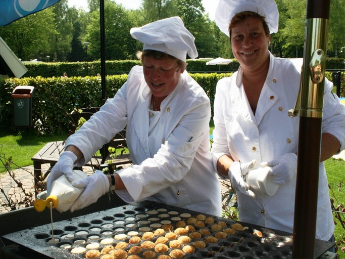 Food & Drinks 3, Chalet by Pond with Terrace Views, Steenwijkerland