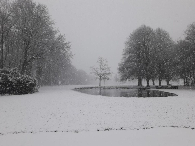 Surrounding environment