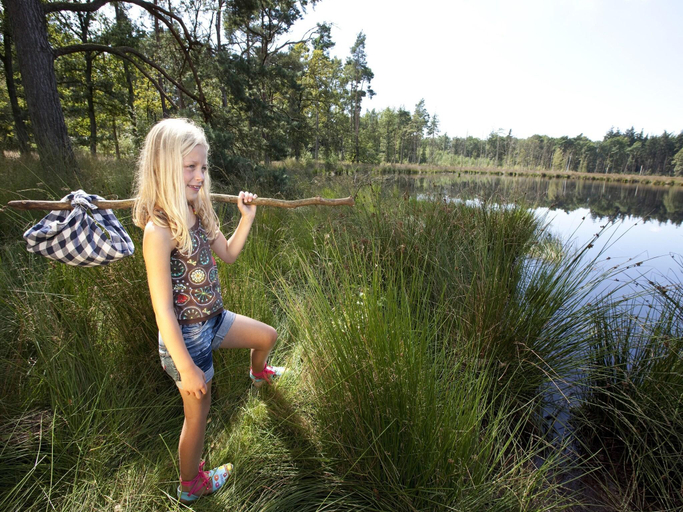 Others 2, Woodland Glamping Getaway, Borger-Odoorn