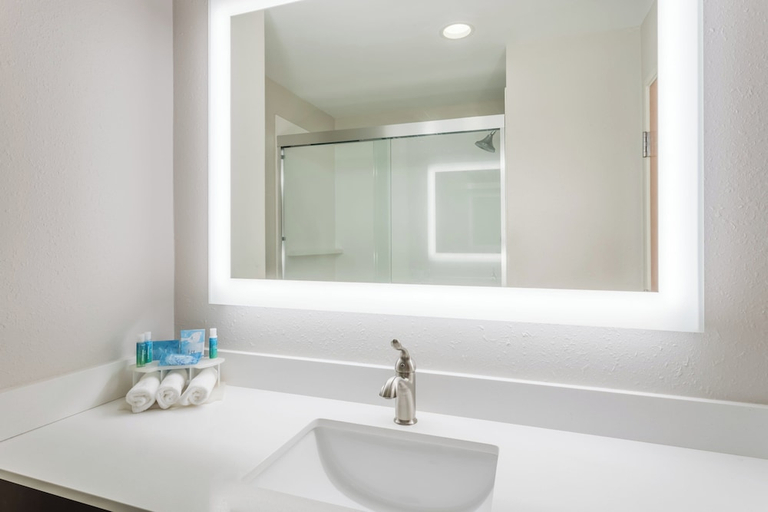 Bathroom 4, Holiday Inn Express & Suites BREMEN by IHG, Haralson